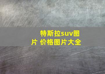 特斯拉suv图片 价格图片大全